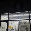 퍼피인더바스 이미지