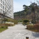 대전새미래초교 이미지