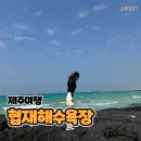 인생네컷 코스 | 제주 협재해수욕장부터 보롬사진관 네컷사진까지 하루 코스 후기