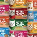 도그플랜 이미지