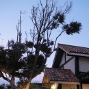 펜션 바다의 꿈 이미지