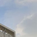순천신경외과의원 네이버블로그