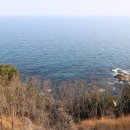 김가네 식당 이미지