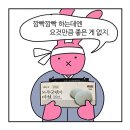 법인청춘