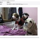 야 이미지