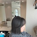 시크헤어 이미지