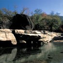 느티나무펜션민박 이미지