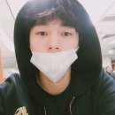 엘스타 이미지