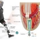 자연의 움직임 이미지