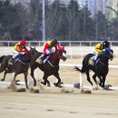 경마장가는길 이미지