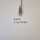 오늘부터디데이마카롱 이미지