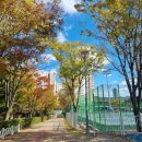 수지체육공원 풋살장 이미지