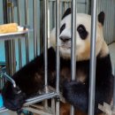 생육원