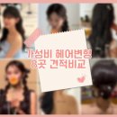 [정보] 가성비 헤어변형 업체 견적 비교 정리 (8곳)