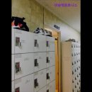 안정순환로287번길 | [평택 헬스장] 머슬맥휘트니스 평택 헬스장 머슬맥휘트니스, 최고의 시설과 강사진