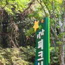 웃음힐링 | 성라 피크닉장 후기 숲속 힐링과 웃음이 가득했던 하루