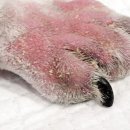 좋은 친구들 동물병원 이미지