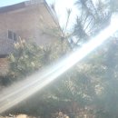 CH 스크린 골프장 | 미즈노 파크 골프채 종류 이니셜 각인 가격