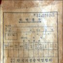 련 Daum카페