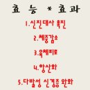 오내과 이미지