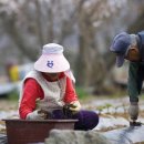 보릿고개마을 이미지