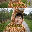 기린06 이미지