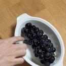 완규농장 이미지