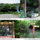 장수읍안양마을로 이미지