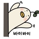 박신우도자기 이미지
