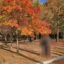 마당이수목원 | 부산 단풍구경 명소 화명수목원 추천 후기 (입장료, 시간)