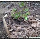 우석농장 이미지