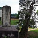 풍기역 중앙선 이미지