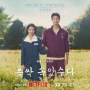 꿈이자라는땅 | 에세이: 폭싹 속았수다 (1~3막후기)