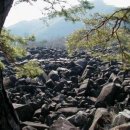 인정사슴목장 이미지