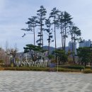 서면애김