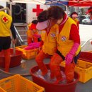 세탁문화 이미지