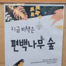 비책대치관리형스파르타독서실 이미지