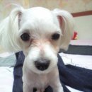 남구미로-7 이미지