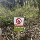 성불산자연휴양림 | 충북괴산 성불산자연휴양림 야영장 캠핑데크 8번후기