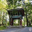 문경 불정역 폐역 포토존 후기 – 충북 감성 사진 명소!