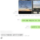 종달차경(메리골드) 네이버블로그