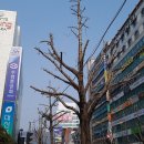 스튜디오가가