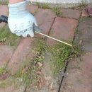 호미농장 이미지