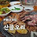 산골음식 | [산골오리] 오리구이 오리탕 찰영양밥까지 푸짐한 별내맛집