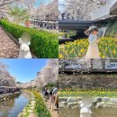 지에스(GS)25 무거삼호점 | 울산 궁거랑 벚꽃명소 무거천 수선화스팟 주차 야경 꿀팁