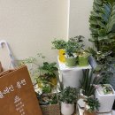 플레인플랜