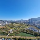 부산진구-35 이미지