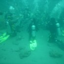 스쿠바캠프 이미지