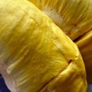 영통로130번길 이미지