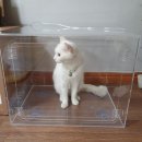 산소뱅크 이미지